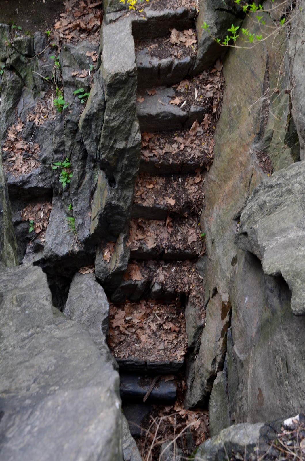 This Hidden City The Rarely Seen of Central Park