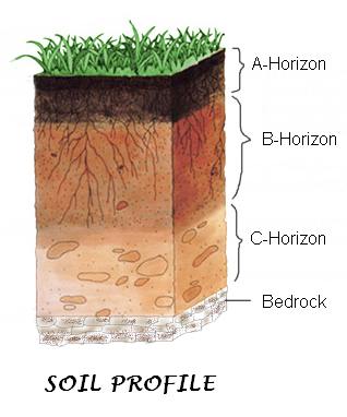 SOLUTION Soil profile  Studypool
