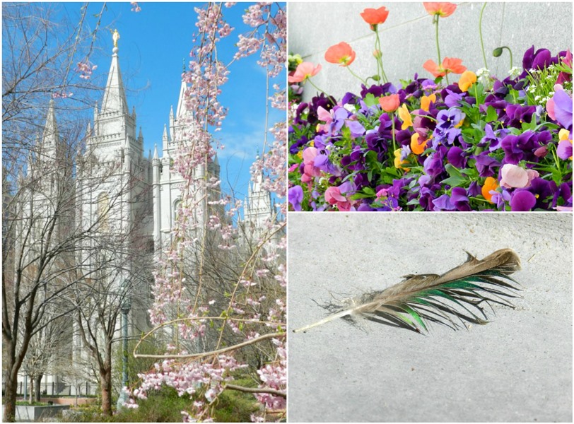 Salt Lake Temple with Spring Blossoms Photograph:  Grow Creative