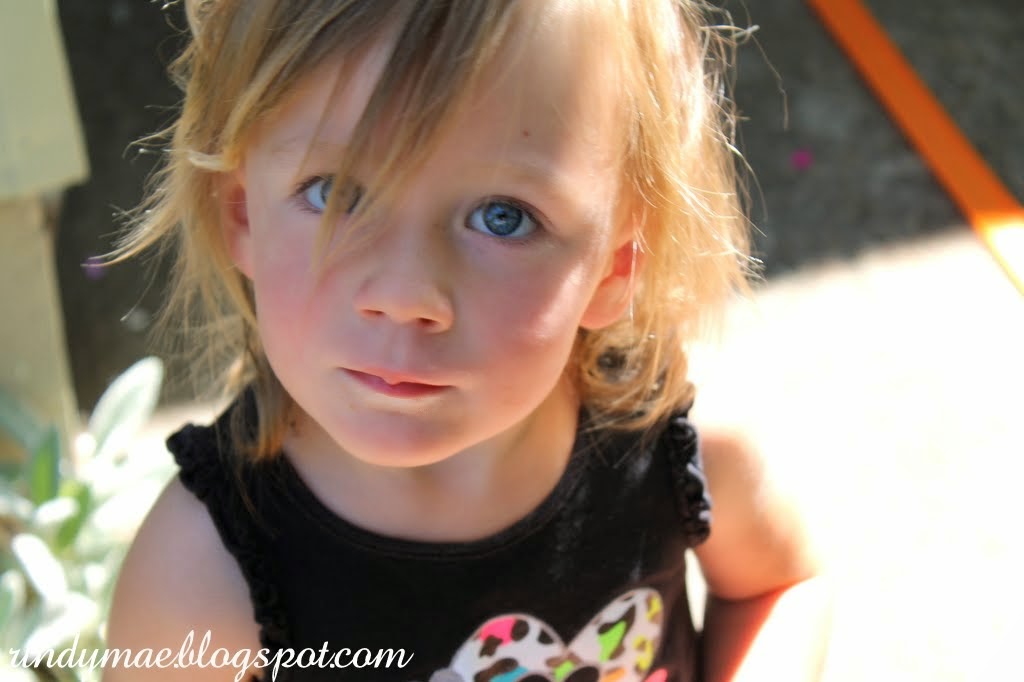 Rindy Mae: Life Snippets #12 Rindy Mae: Life Snippets #12