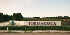 Tormaresca producer of primitivo in Puglia