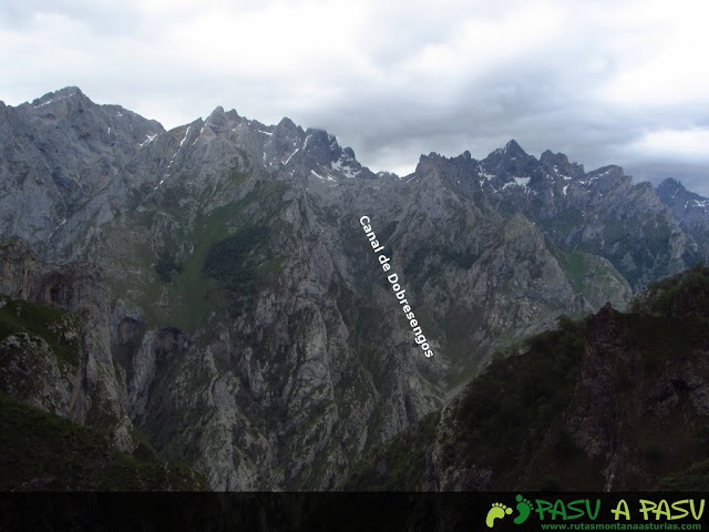 Vista del Macizo de Urrieles desde Trea