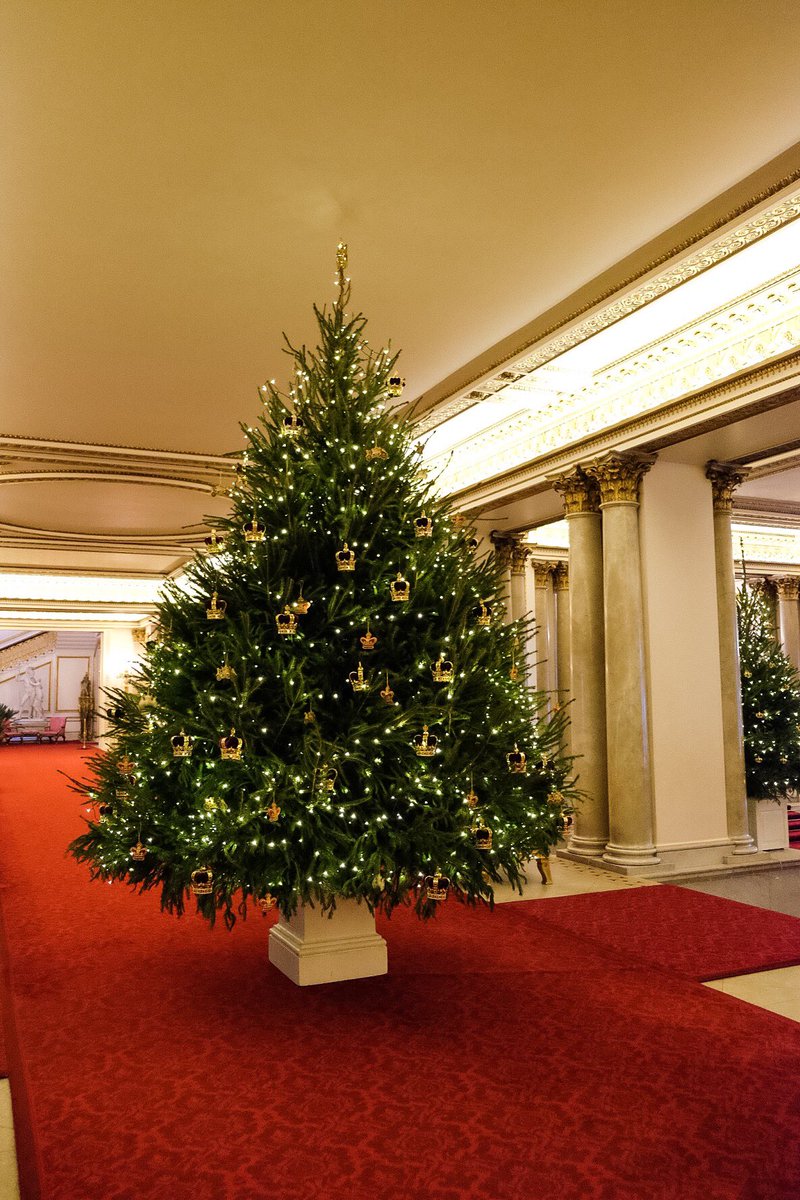 Queens of England Royal Christmas Trees Buckingham Palace