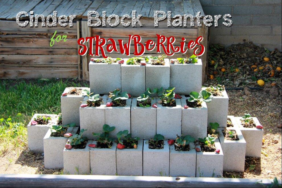 Clearwater Cottage Cinder Block Strawberry Planter