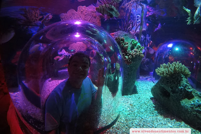 Sea Life Aquarium e Orlando Eye