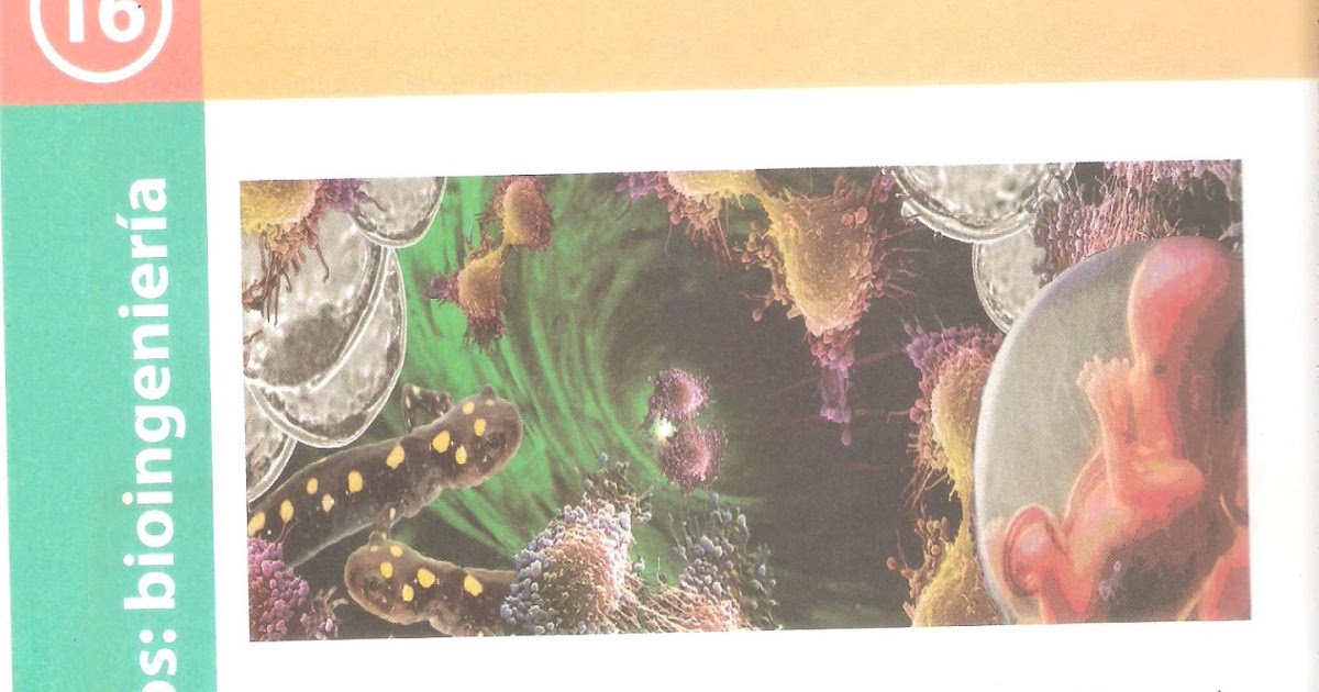 LIBRO BIOLOGÍA 5TO AÑO TOMO 2 (2DA PARTE)