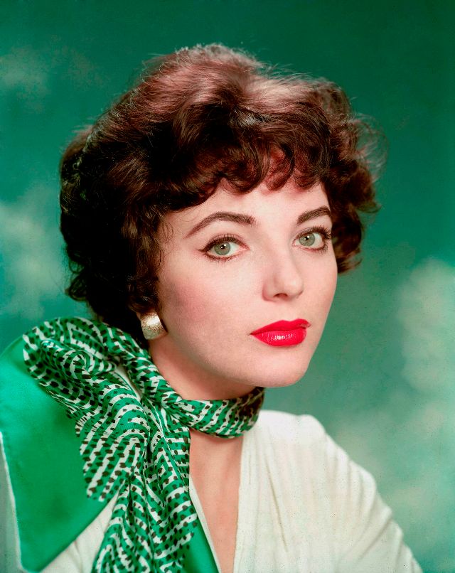 JOAN COLLINS 8X10 GLOSSY PHOTO PICTURE 