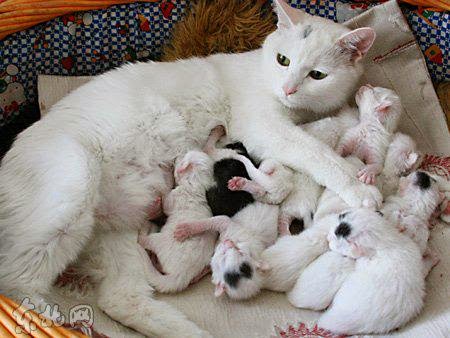 Hati-Hati Dengan Mitos Tentang Rezeki, Cek Faktanya di Sini! Hati-Hati Dengan Mitos Tentang Rezeki, Cek Faktanya di Sini!