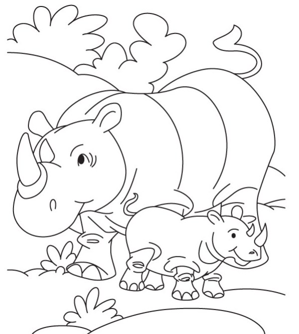 Belajar mewarnai gambar binatang badak untuk anak TK