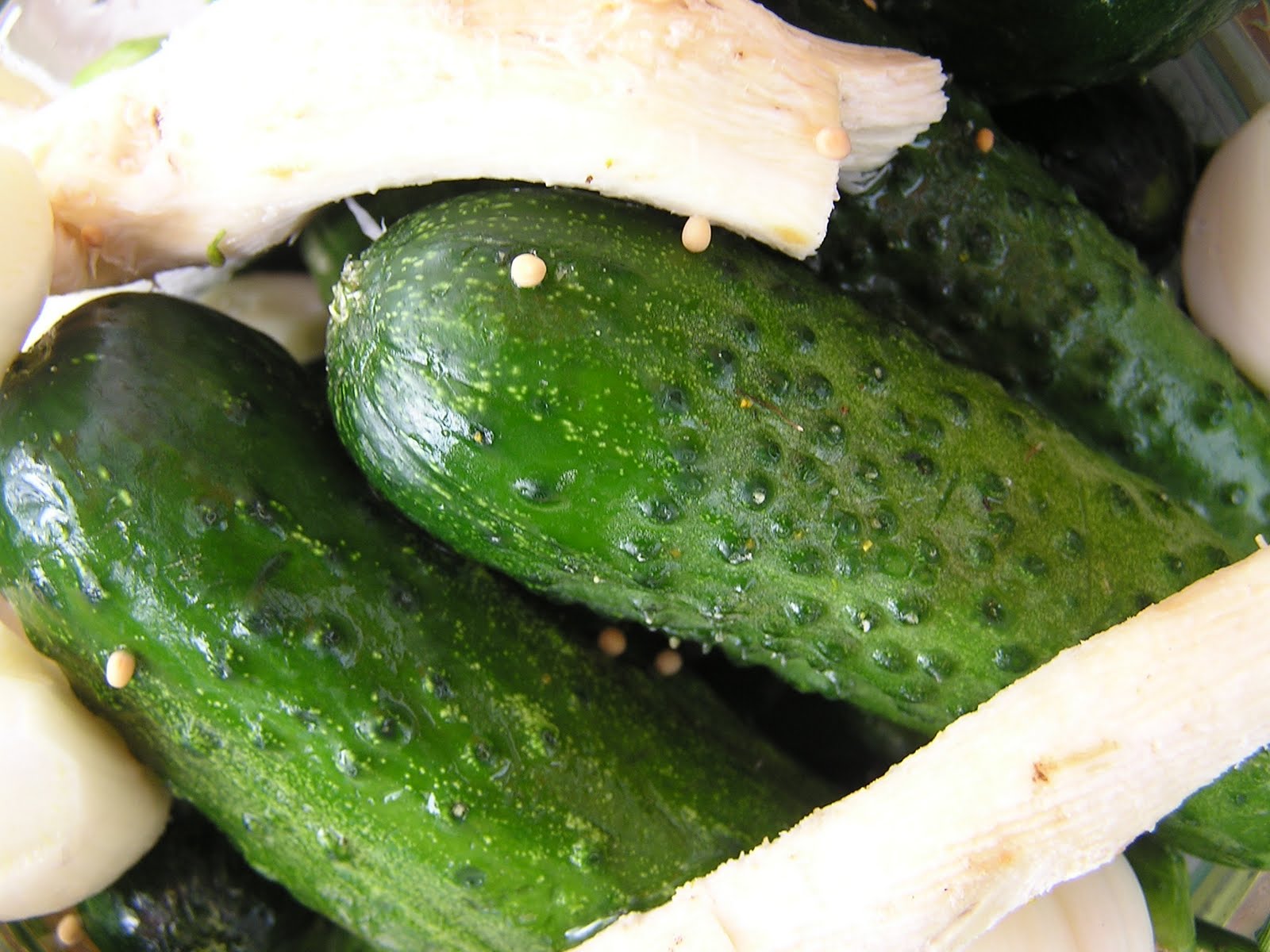 Lynn Deasy Stories from Rural Life in Southern France Pickles!