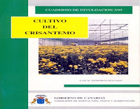 Cultivo del Crisantemo - Cuaderno de divulgación 3/95 | Gobierno de Canarias cultivo-del-crisantemo