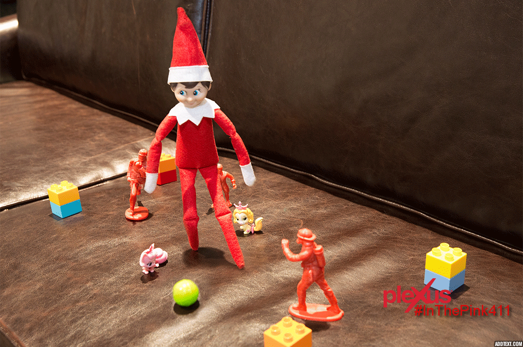 In The Pink 411 9 Healthy Elf on the Shelf Ideas