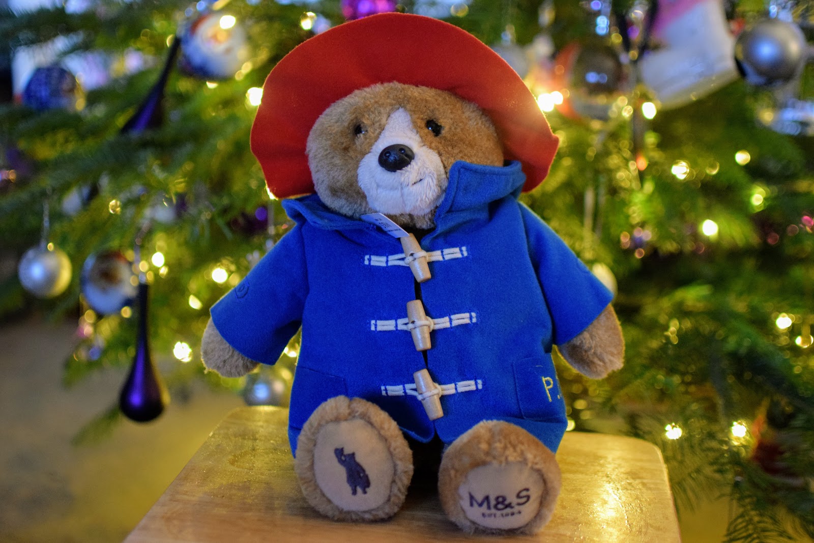 bruja Barry Escrupuloso Paddington Bear and the Christmas Visitor- Win a Paddington Plush Toy and a  Copy of The Book - Diary of the Evans-Crittens