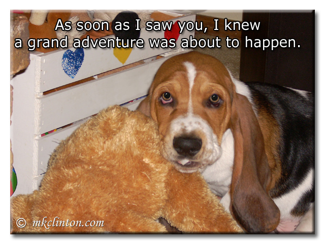 As soon as i saw you, I knew a grand adventure was about to begin. meme with Bentley Basset Hound puppy