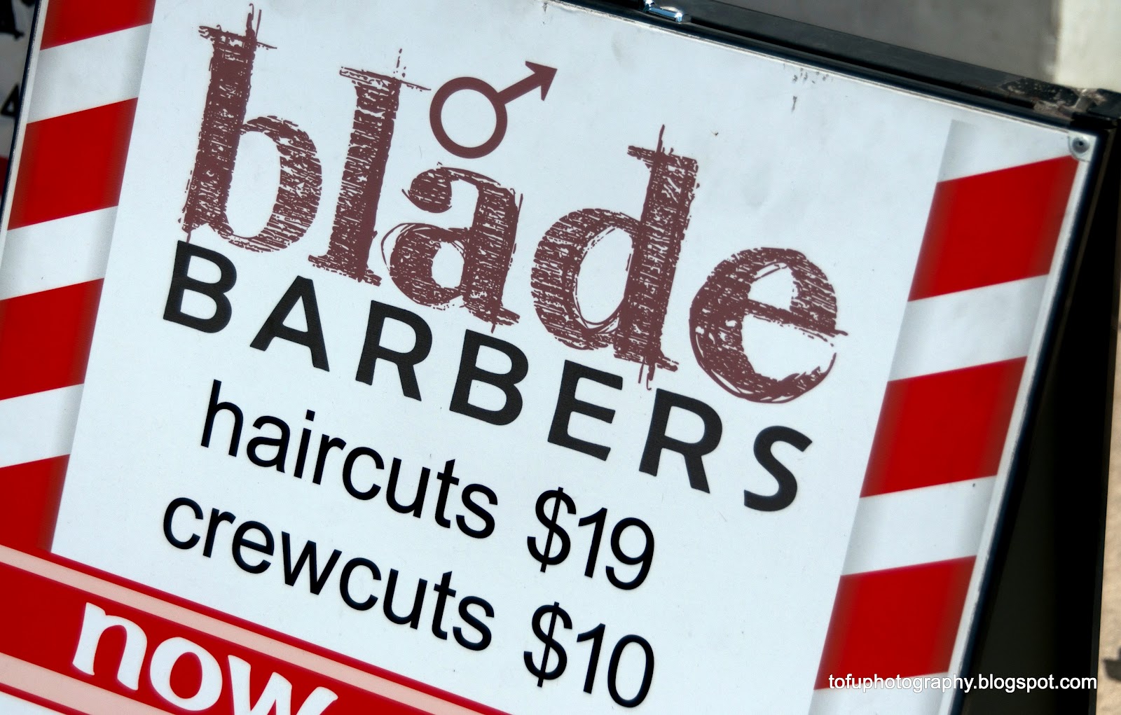 Tofu Photography May 13, 2012