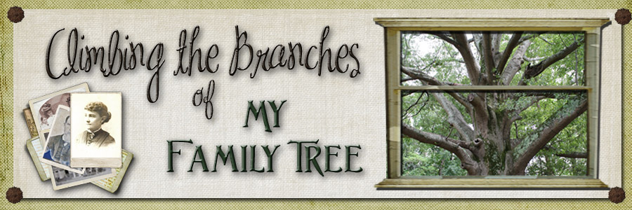 Climbing the Branches of My Family Tree