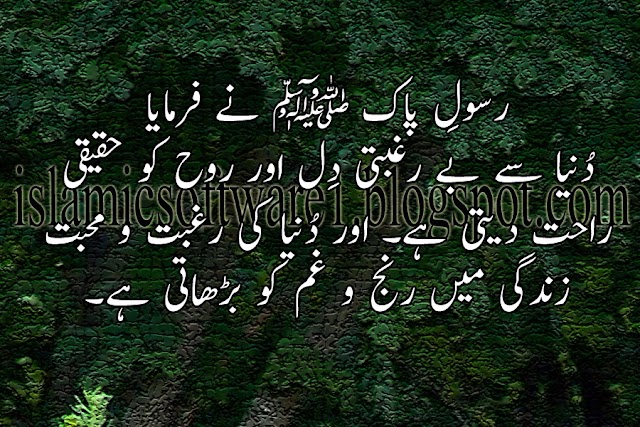 Beautiful Quotes Prophet Muhammad P.B.U.H, Aqwal e Zareen in Urdu