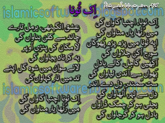 baba bulleh shah quotes 4