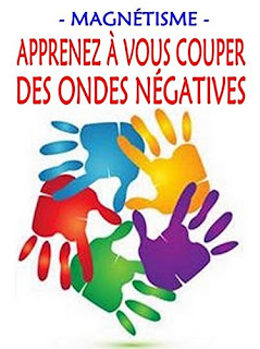 Apprenez à Vous Couper Des Ondes Négatives de Alexis Delune PDF Apprenez à Vous Couper Des Ondes Négatives de Alexis Delune PDF