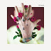 Album Stream: Machine Gun Kelly "Bloom"