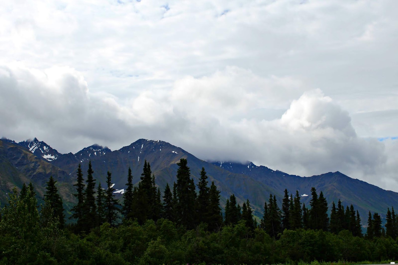 The Drive to Cantwell in the Denali State Park // Alaska Caravan