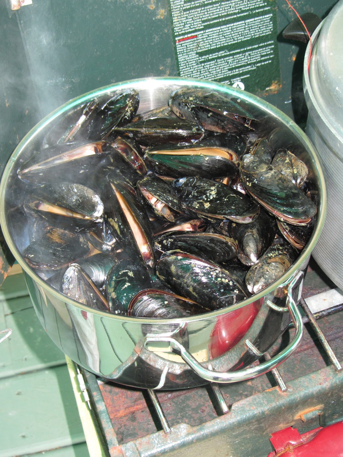 Adventures with Artisan Mussels and Lobster Boil
