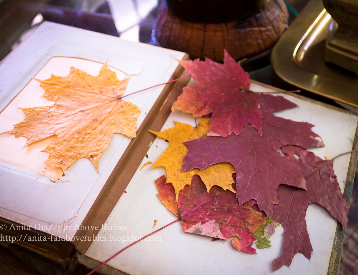 Country life and potato digging