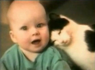 baby and cat
