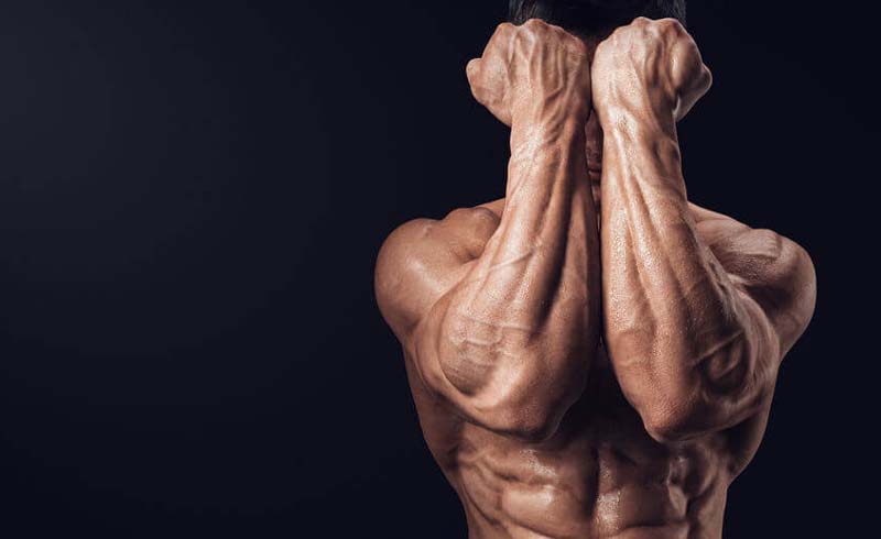 Build a stronger, thicker back with these tried-and-true variations of a classic pulling movement.