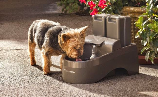 12 Must Have Dog Water Fountains Drinkwell Indoor Outdoor Dog Fountain