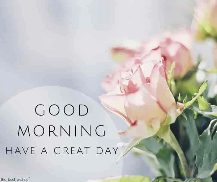 have a great day good morning