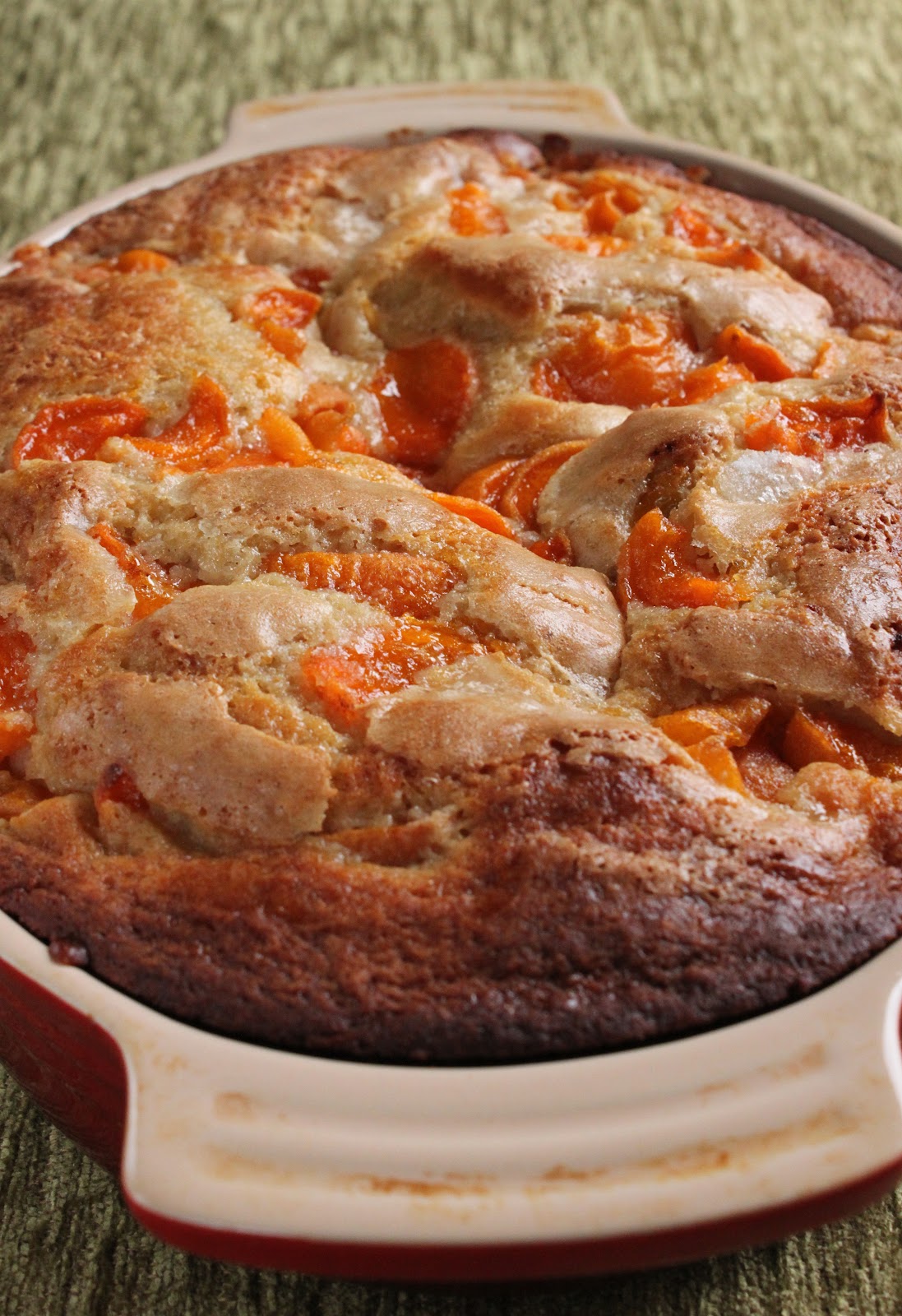 Apricot yogurt cake