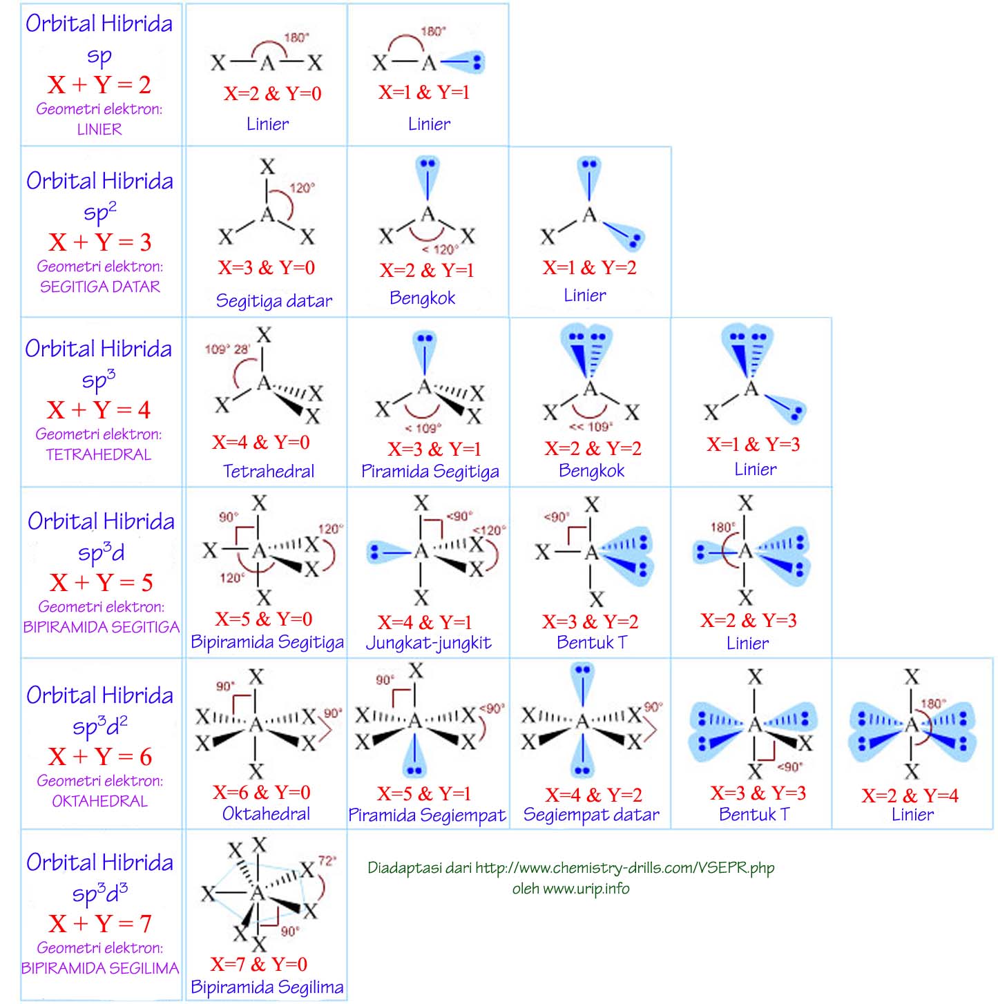 Cara Mudah Menentukan Bentuk Molekul Suatu Senyawa Urip