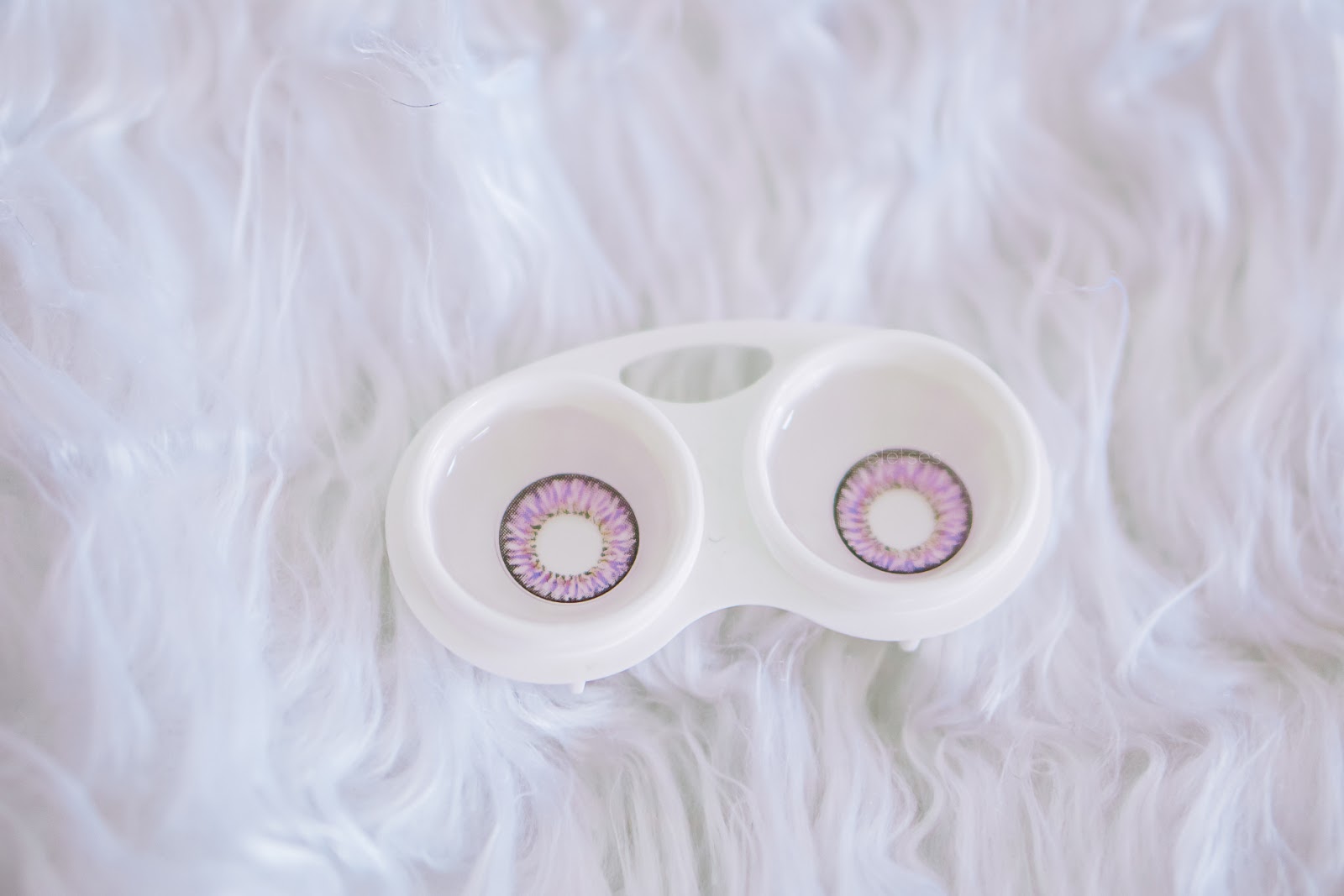 ICK Garnet Violet Lens