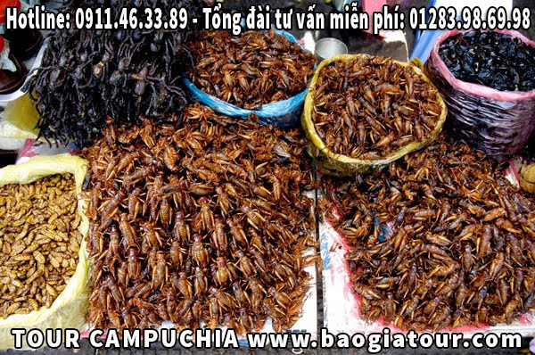 Tour du lịch Campuchia giá siêu rẻ khởi hành vào thứ 5 hàng tuần Tour du lịch Campuchia giá siêu rẻ khởi hành vào thứ 5 hàng tuần