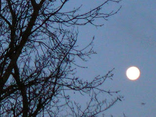 Lirik Lagu Padang Bulan dan Artinya [Sholawat Habib Syech