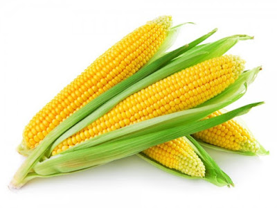 India approves import of 5 lakh tonnes corn India approves import of 5 lakh tonnes corn