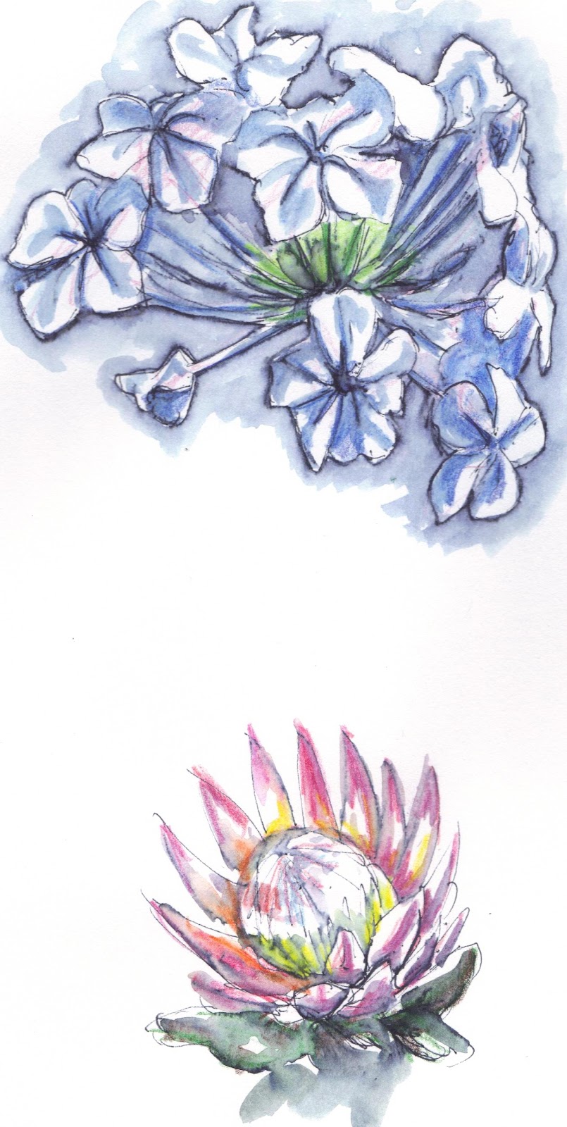 designed-to-the-nines-april-2012