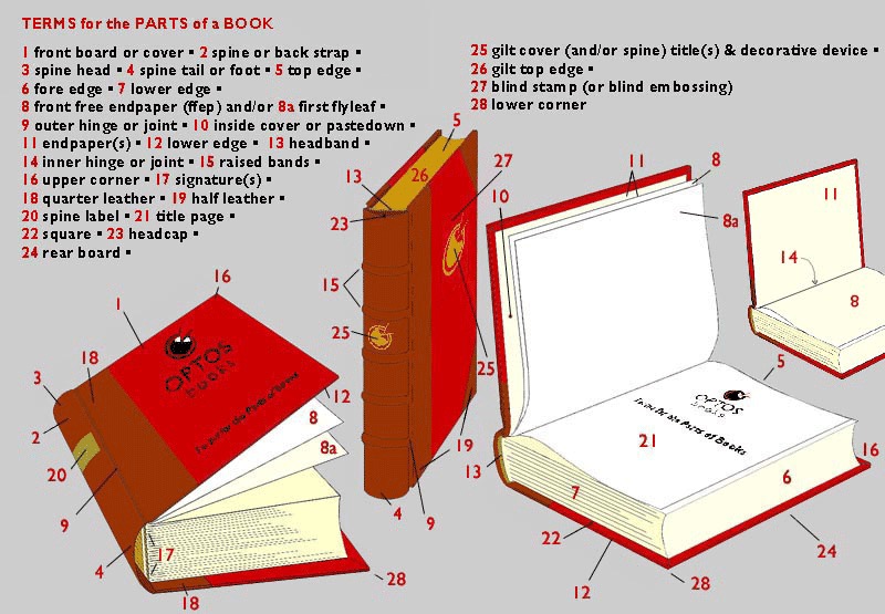 Bilge Tonyukuk Enstitüsü: 15 diagrams that show how a book is made
