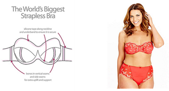 frumpy to funky: Support grows for the World's Largest Bra