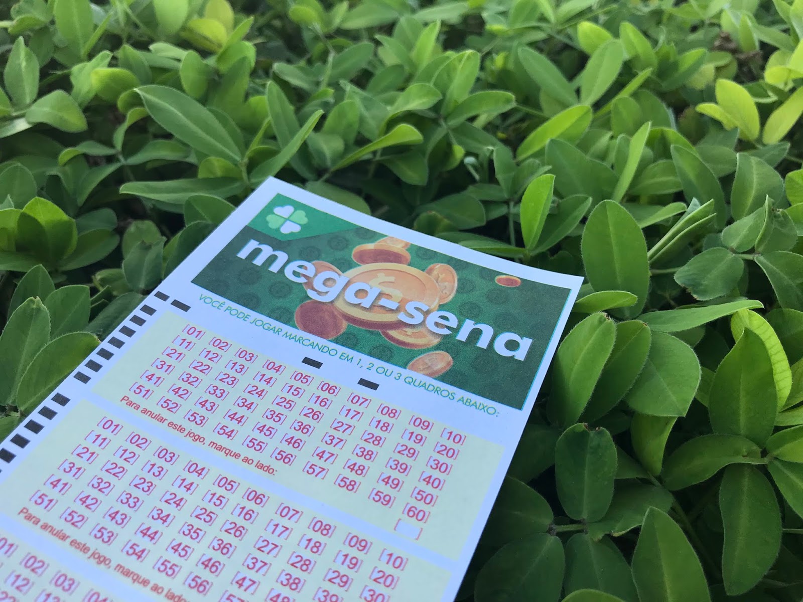 Finalmente já é possível apostar online na Loteria Federal Brasiligeeks