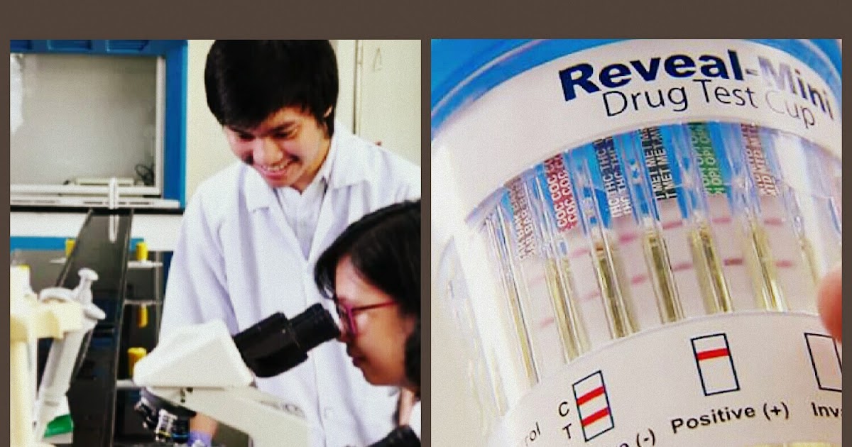 Think The Brighter Side of Life Do You Want Philippine Schools To Conduct A Mandatory Drug Test?