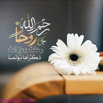 خلفيات واتس اب حلوه خلفيات واتس اب حلوه