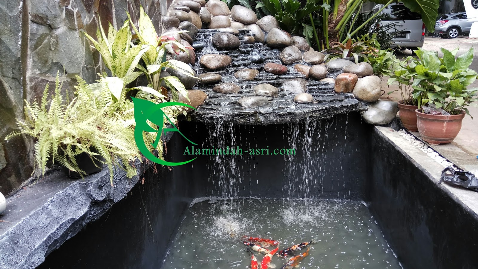 TUKANG KOLAM IKAN KOI - TUKANG KOLAM KOI