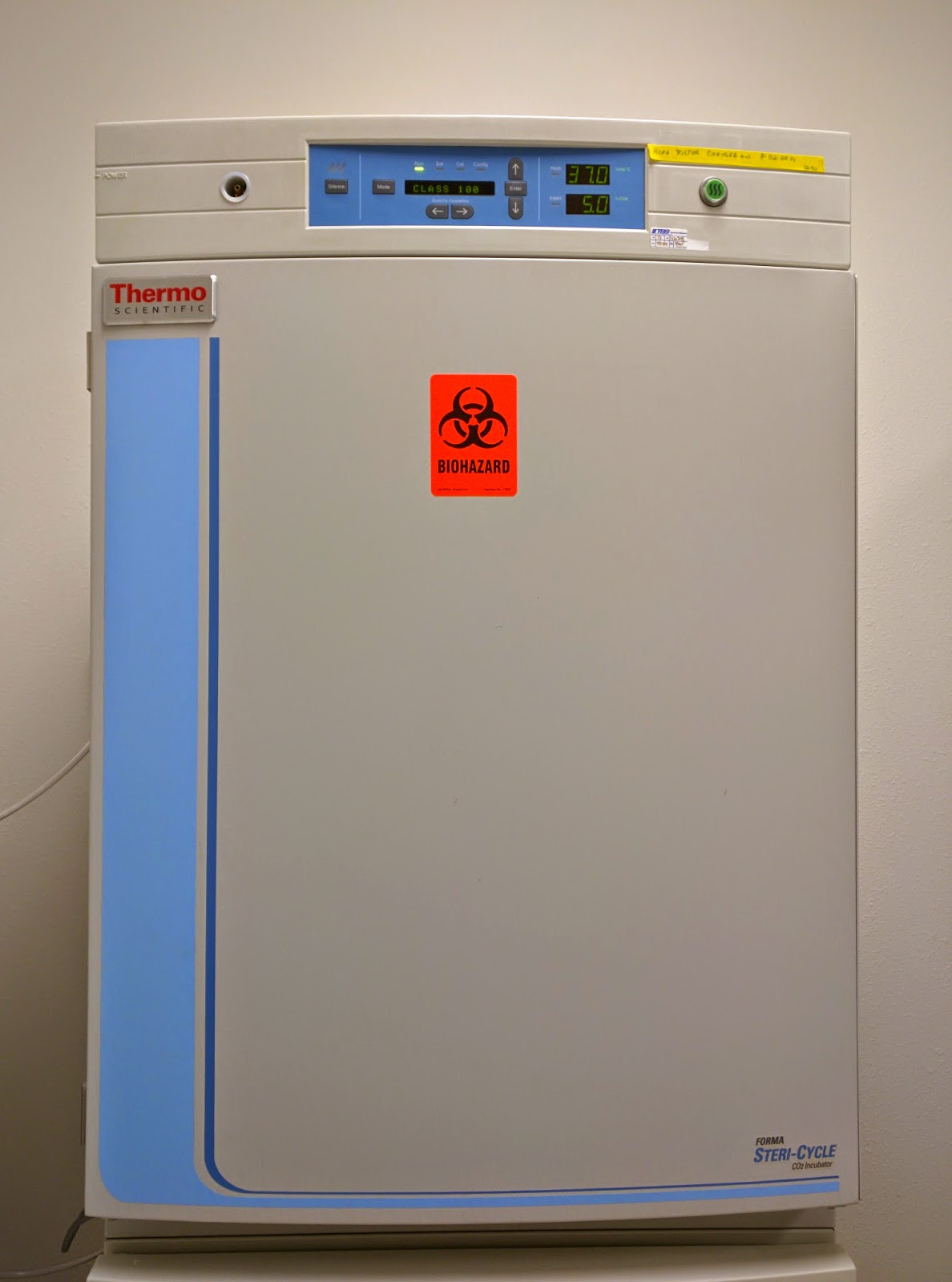 Alex's Skin Cell Blog Feeding Alex's cells with "Orangina"