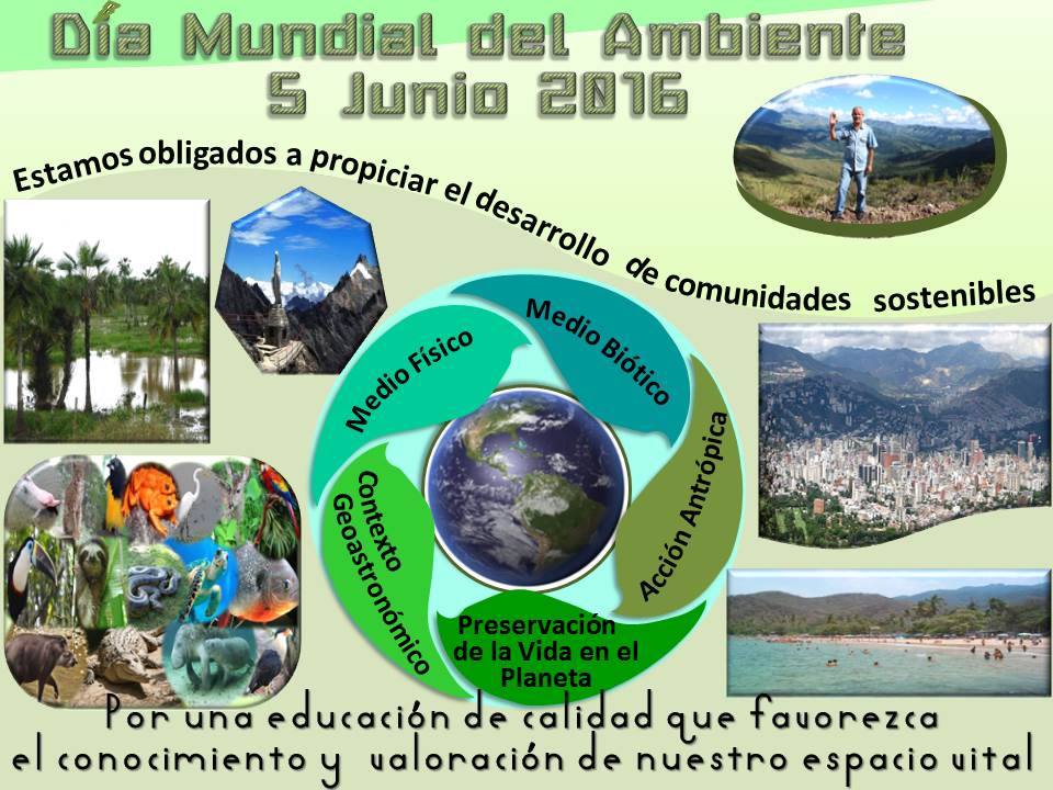 Cursos geografia regional