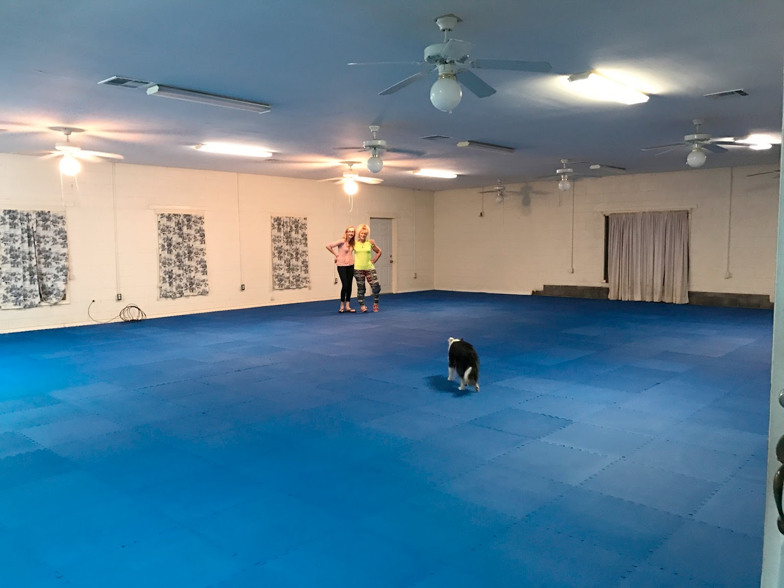 Greatmats Specialty Flooring, Mats and Tiles Best Animal Shelter Flooring
