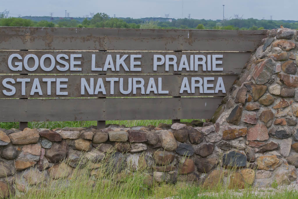 T & L Adventures Goose Lake Prairie Natural Area near Morris, IL