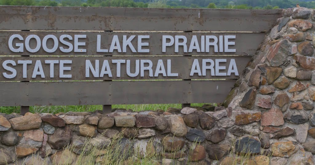 T & L Adventures Goose Lake Prairie Natural Area near Morris, IL