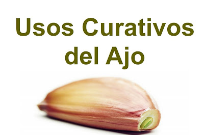comer el ajo con el estomago vacio usos curativos del ajo